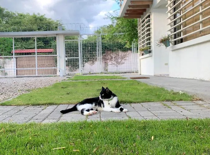 Casa Buda 2 Cerca Del Aeropuerto